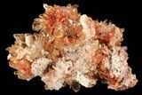 Orange Creedite Crystal Cluster - Durango, Mexico #84213-1